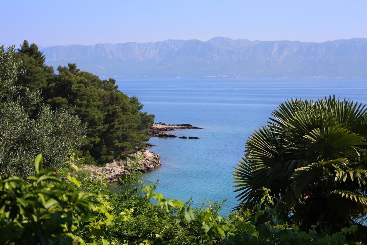 Apartments And Rooms By The Sea Trpanj, Peljesac - 258 Екстер'єр фото